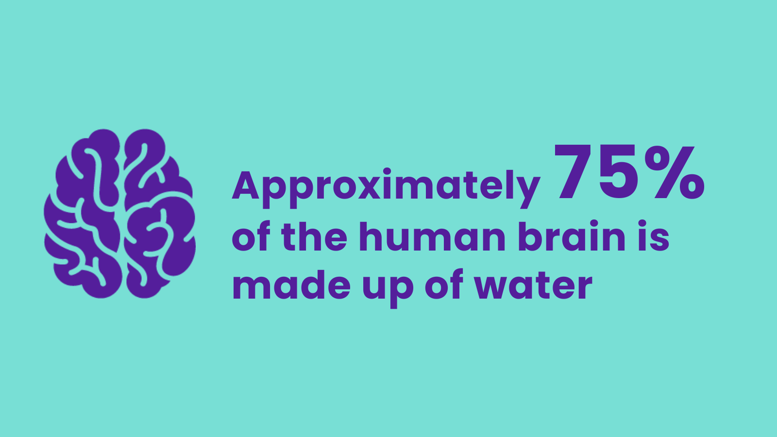 Why hydration is important for healthy brain function